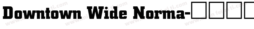 Downtown Wide Norma字体转换